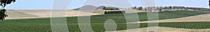 Yarra Valley Vineyard Panorama photo