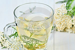 Yarrow medicinal tea in glass cup