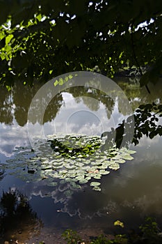 YASNAYA POLYANA. TULA REGION. RUSSIA - July 27, 2021: The manor house pond in the summer.