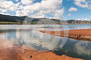 Yate Lake with drowned forest in Blue River National Park in New Caledonia photo