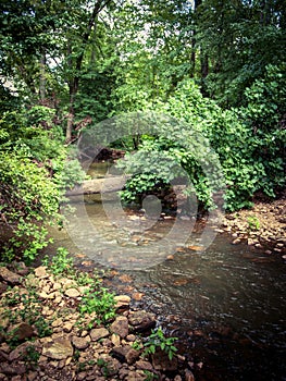 Yates Mill Pond Trail in Raleigh, North Carolina