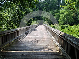 Yates Mill Pond Trail in Raleigh, North Carolina