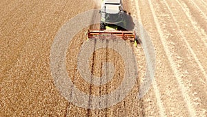 Yatskoe, Ukraine - Julu 10th, 2020: Aerial drone front view industrial german Claas tucano 320 combine harvester machine