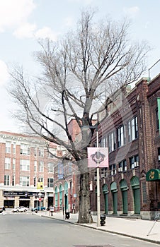 Yawkey Way before changes made after 2003