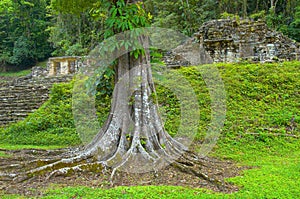 Yaxchilan