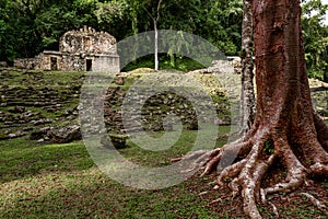 Yaxchilan is an ancient Maya in Mexico