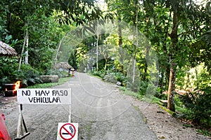 Yaxchilan forest - Mexico photo