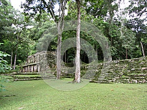 Yaxchilan Ruins and Jungle