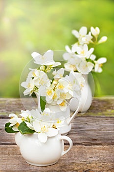 YBouquet of jasmine