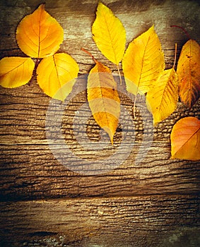 Yeallow leaves on rustic wooden background - autumn decoration