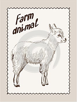 Yeanling vector hand drawn