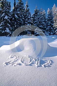 Year 2012 written in Snow