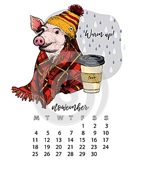 Year calendar with pig. Monthly illustrations. Hand drawn piglet wearsplaid blanket, hat and cup of tea.November, autumn
