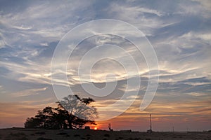 Tree of life during sunset with dramatic clouds, Bahrain