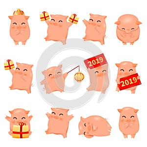 2019 Year of the Pig cartoon characters traditional oriental chinese zodiac pigs set.Chinese lanterns,happy funny asian mascot cha