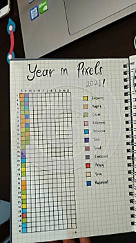 year in pixels are inovation dairy for your expression emotion daily like sadness happy exciting calm badmood stressed sick tired photo