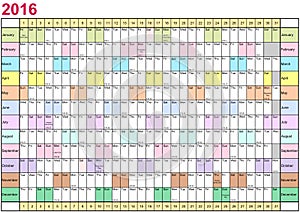 Year Planner 2016 linear each month in different colors
