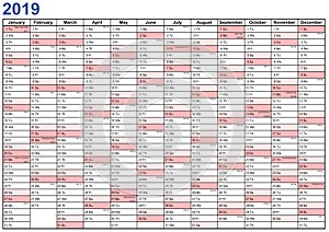 Year Planner 2019 USA