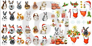 Year of the Rabbit. collection cute bunny with New Year decoration elements for creating design.