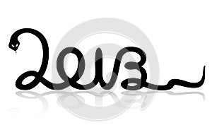 Year of the snake. 2013