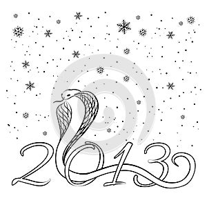 Year of the Snake 2013