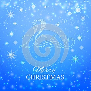 Year of the Snake 2013