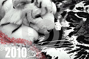Year of the White Tiger