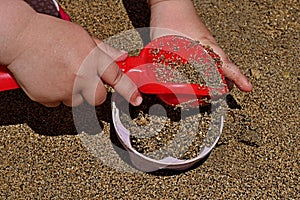 3 years old girl hands putting sand into pink pattypan form with red shovel