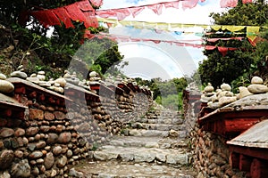 3000years old of tea road