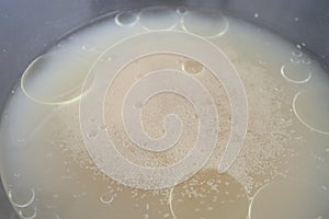 Yeast in a bowl with  lukewarm water