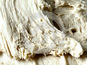 Yeast bread dough close up