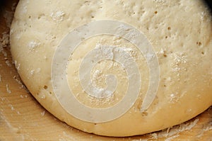 Yeast Dough