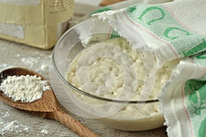 Yeast dough in a bowl