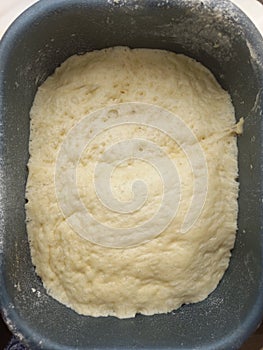 yeast dough in a bread maker