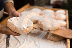 Yeast dough in the form of loaves waiting to be cooked