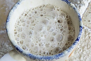 Yeast Fermented in a Cup