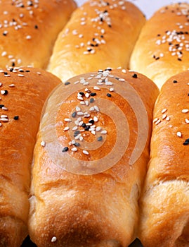 Yeast hot dog buns sprinkled with sesame seeds right from the oven