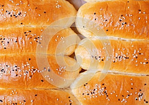 Yeast hot dog buns sprinkled with sesame seeds right from the oven