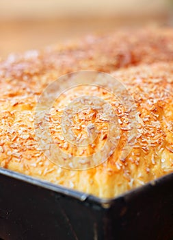 Yeast sponge cake crust