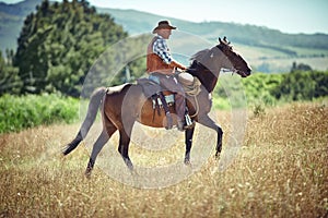 Yeeha. Shot of a mature man riding a horse in a field.