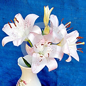 Or Yehuda the bouquet of lilies 2010