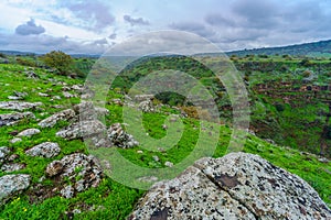 Yehudiya valley, the Golan Heights