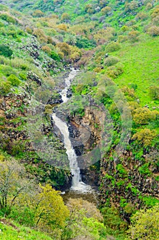 Yehudiya waterfall and valley, the Golan Heights