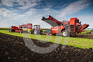 Yekaterinburg, RUSSIA - August 23, 2018: Agricultural machinery in a potato field