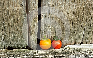 Yelllow and red cherry tomatoes on old shabby wooden background