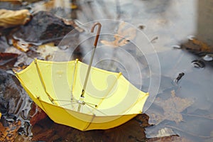 Yello umbrella in a poddle with autumn fall leaves. Autumn concept