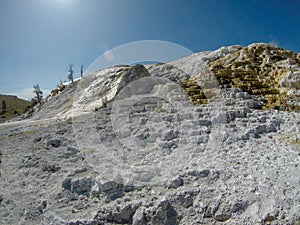 Yellostone national park wyoming mammoth springs landscape