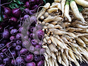 Yellow abd purple radish at the farmers Market