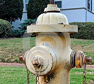 Yellow antique fire hydrant