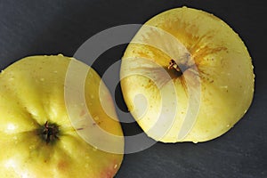 yellow apple - autumn harvest - top